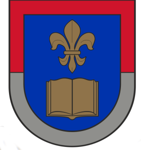 eStudijas